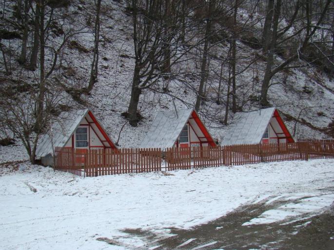 DSC02181 - 2008-02-11 - La Pucioasa-Targoviste-Fieni