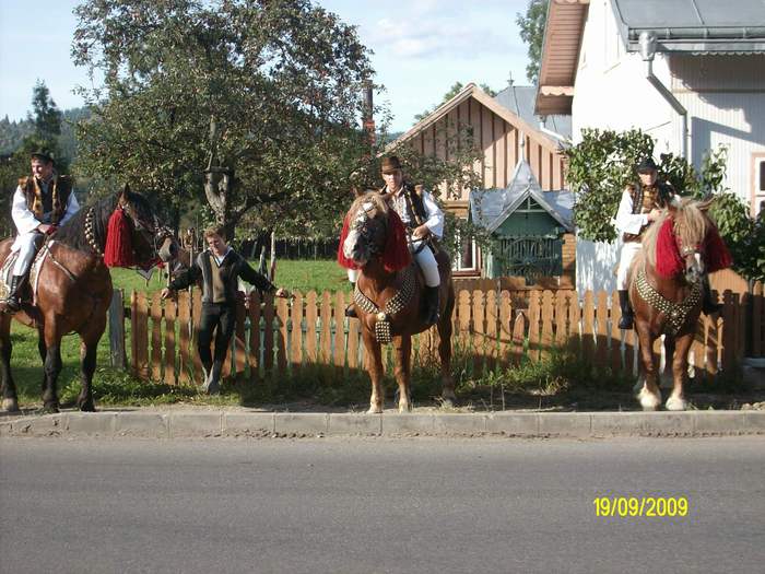 Picture 201 - nunta cu cai in Bucovina 2009 in Campulung moldovensc Suceava