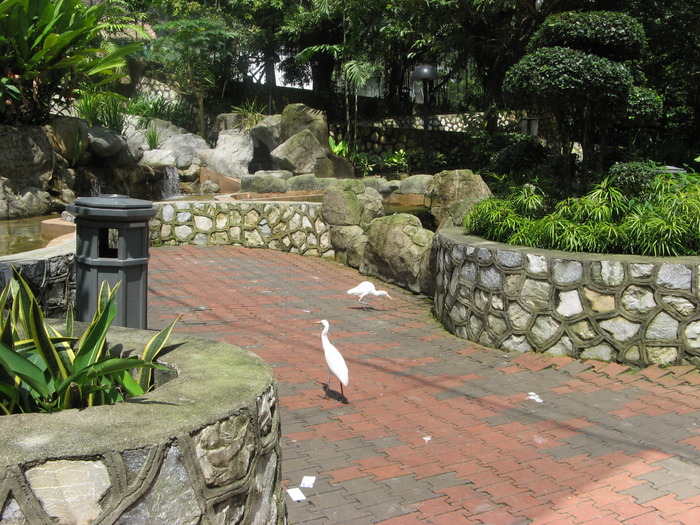 IMG_0043 - 2_1 - Kuala Lumpur Bird Park