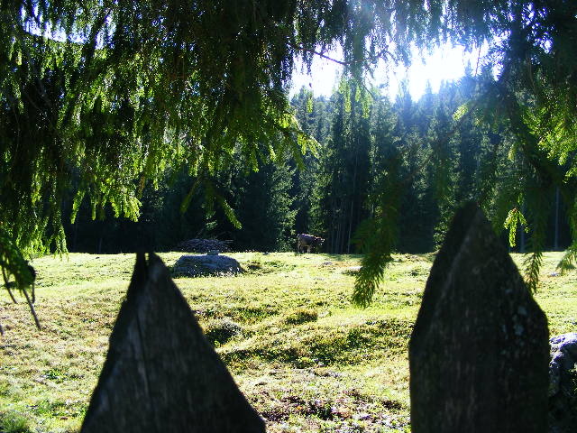 DSCF6427 - muntii Rodnei