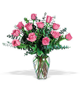 Explozie-de-Culoare-poza-t-P-n-pink%20mare - poze trandafiri