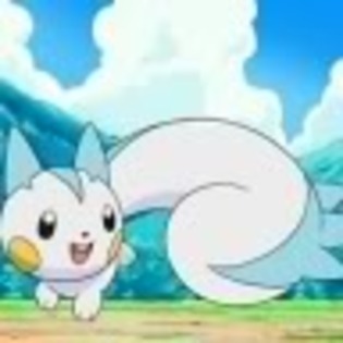 Pachirisu se mandreste