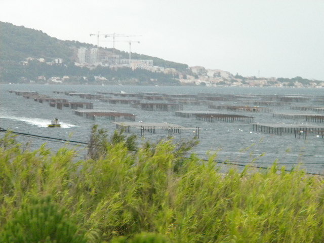 DSCN1586