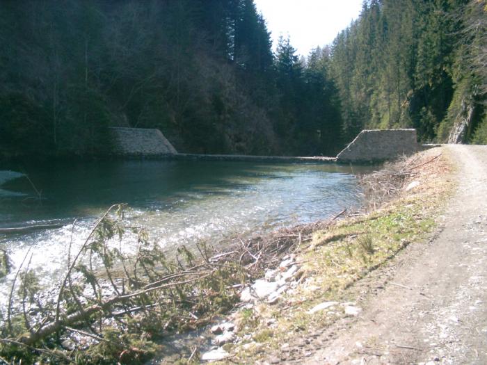 04130132 - Iezer-Papusa