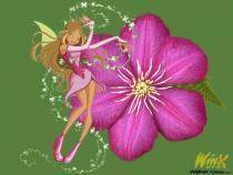 flora - flora-winx