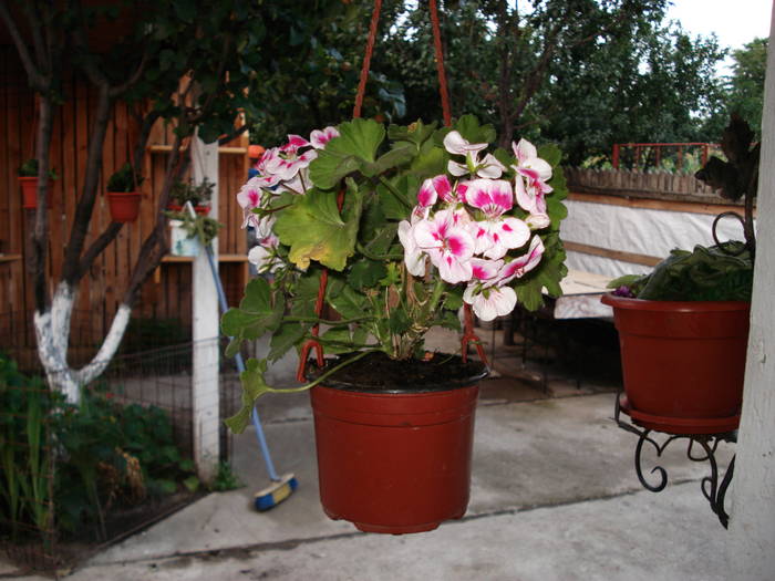 DSC09555
