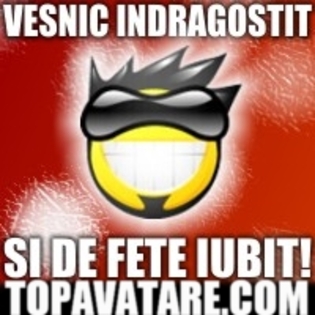 Vesnic Indragostit