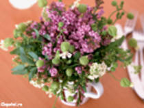 liliac - FlOrI fRuMoAsE