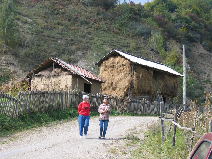 IMG_0453 - papusi de colectie