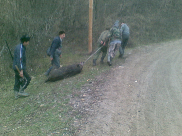 09122009(001) - vanatoare padure