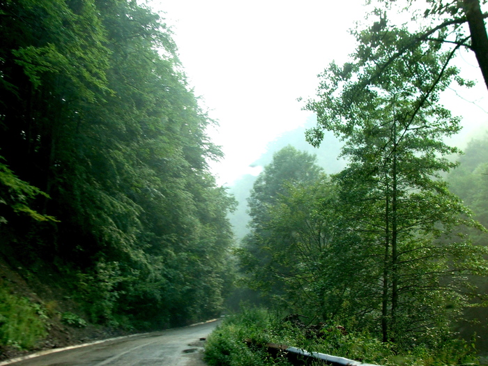 DSCF4929 - Valea Cernei