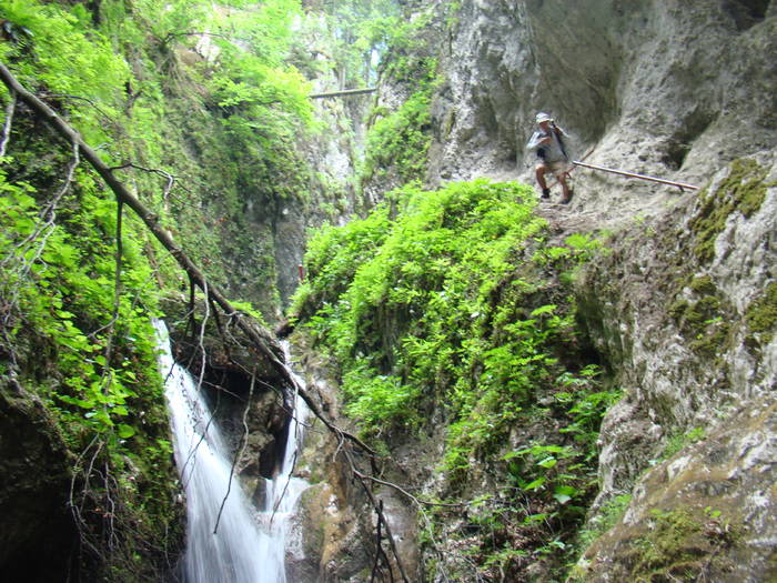 DSC03676 - Iunie 2009