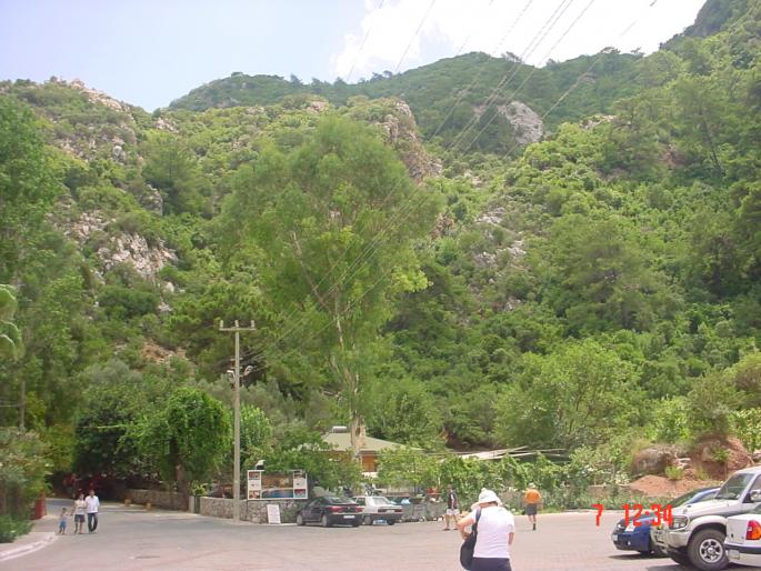 DSC03488