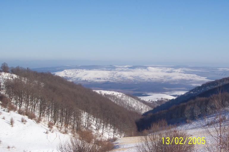 vier200kg 01 - 1 VANATOARE