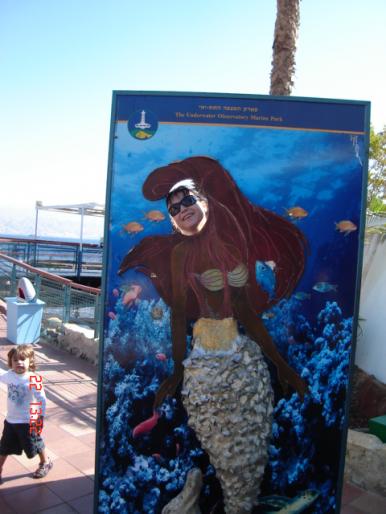 600 Israel - Eilat - The Observatory Marine Park - 2008 ISRAEL NOIEMBRIE