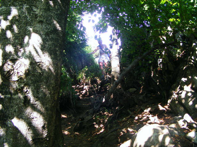 DSCF4505
