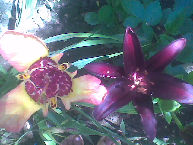 Imag048