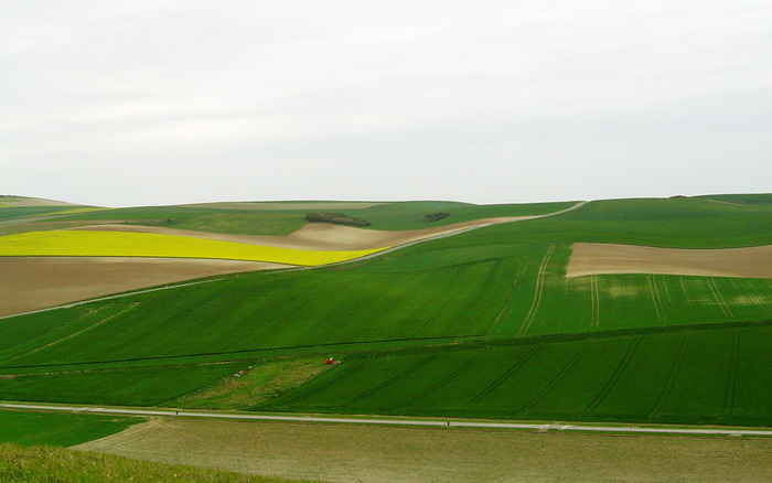 432_fieldsspring_1440x900