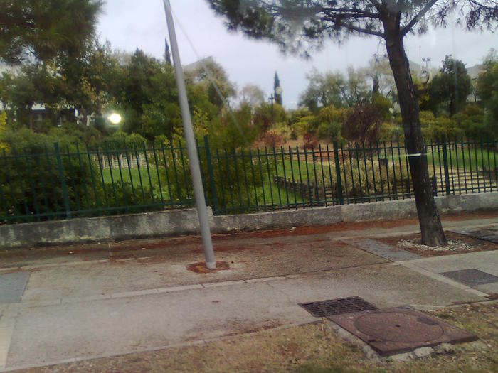 Imagine1195 - ApiMondia