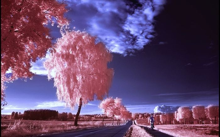 Country - 171 - Nature Wallpapers