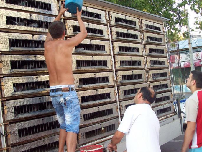 gmg22 042 - ASC grivita concurs 2008