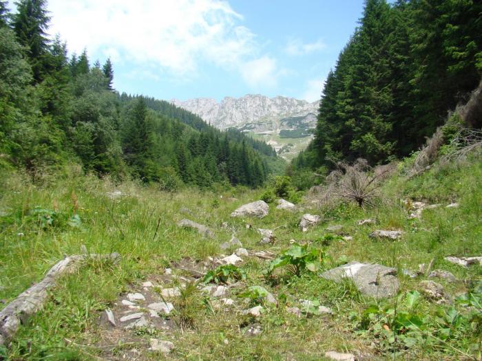 DSC01968 - Concediu 2008