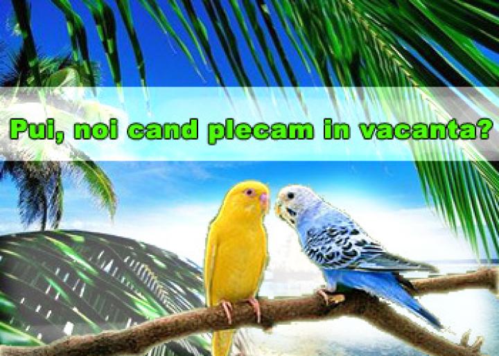 ai115353n364555 - animale si flori