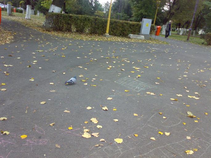 221020081431 - 18a Constanta 1