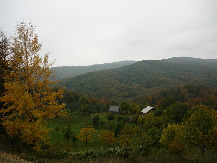 P1010844 - O mica parte din frumoasele dealuri ale PRAHOVEI toamna