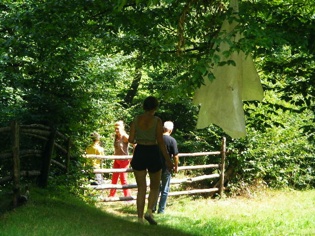 DSCF4896 - Firiza_Maramures