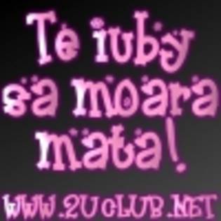 te iubesc sa moara mata