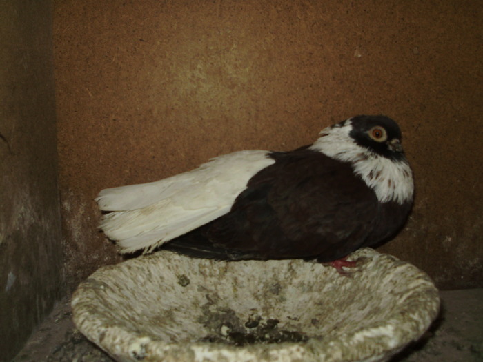 P9061414