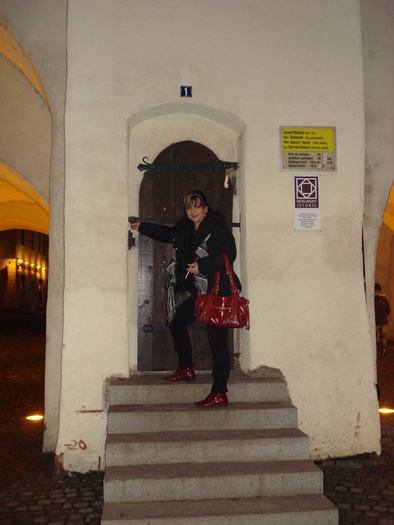 DSC06331 - 2010 REVELION SIBIU