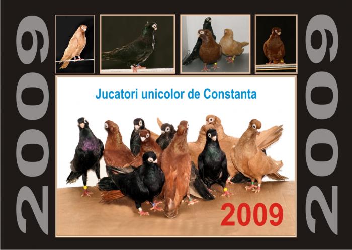 Picture 032 - jucatori de constanta