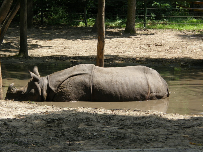 P7040015 - Zoo Nyiregyhaza 2009