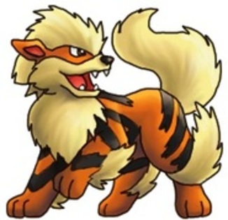 Arcanine - Pokemoni mei