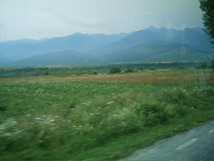 IMAG0023