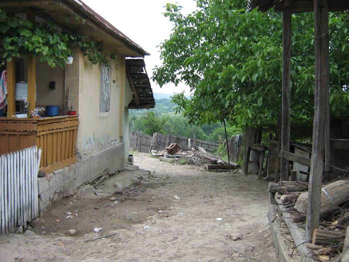 IMG_1195 - La Livezi