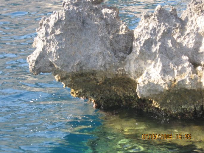 IMG_0554 - 2008 - corfu