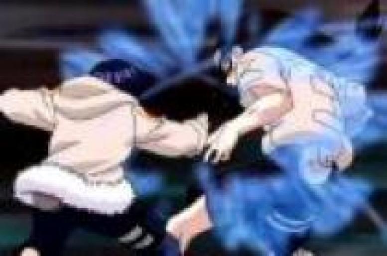 Hinata vs Neji