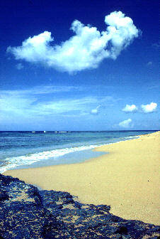 BEACH02