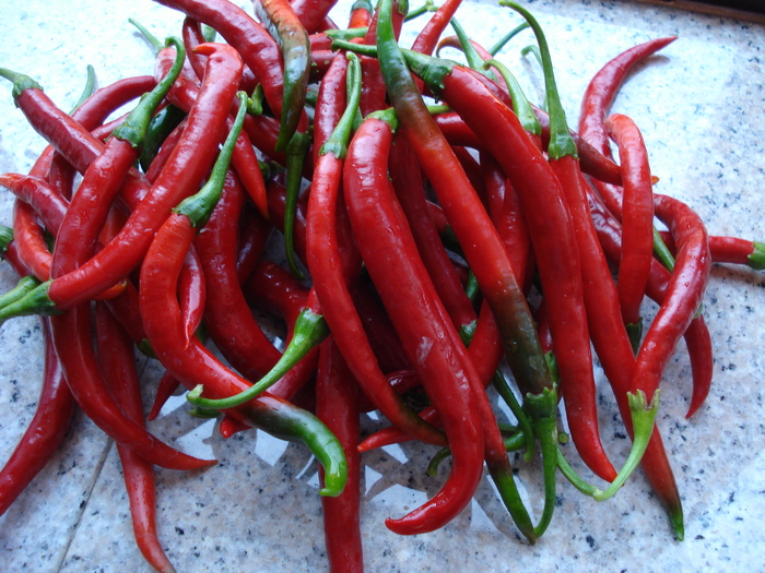 Tokyo Hot Peppers (2009, September 02)