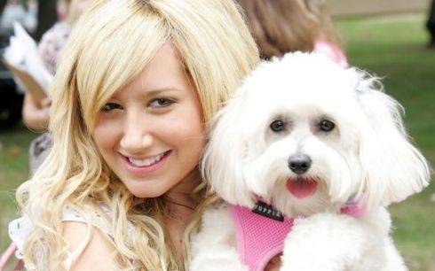 38159132 - ashley tisdale