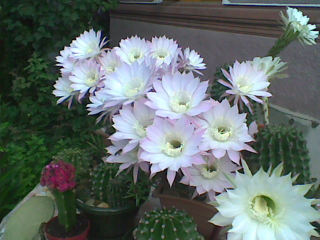 Imag040