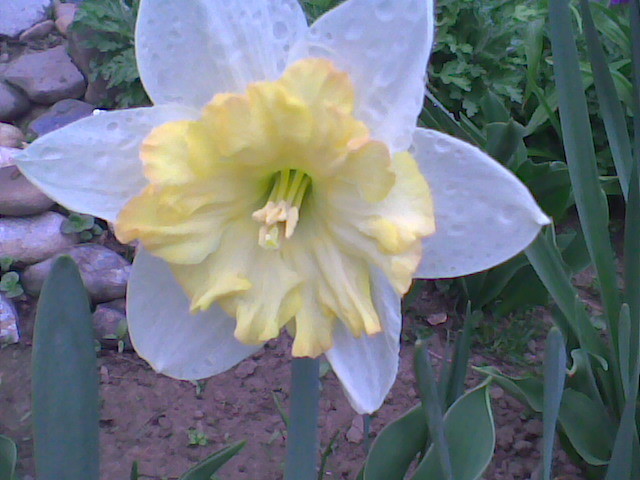 Imag015