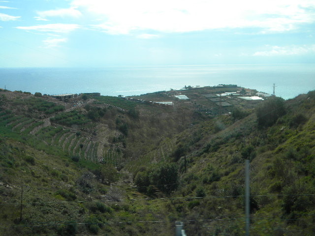 DSCN2516