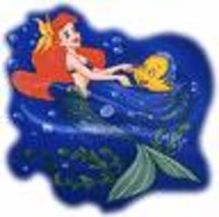 images (5)