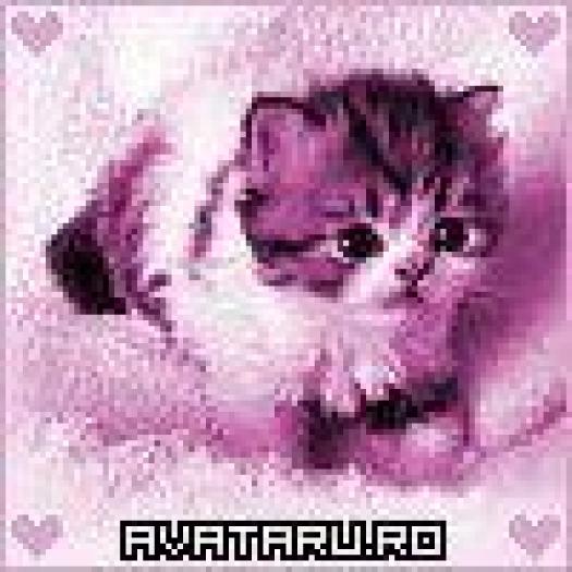 cat pink - aniamle