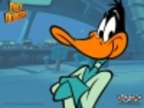 kj - Daffy Duck