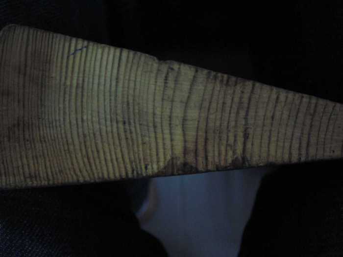 Copy of 007 pin silvestru 1 - Produse forestiere